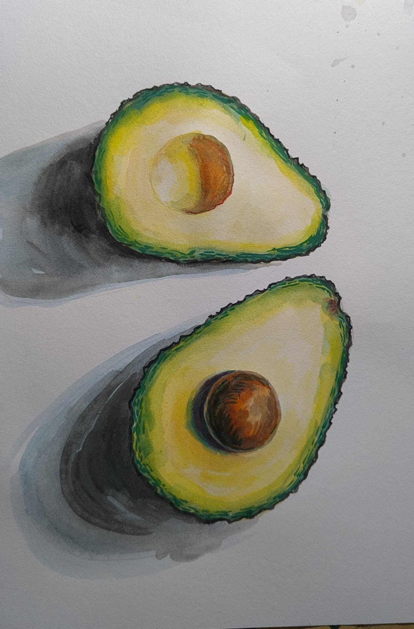 Aquarellstudie — zwei Avocadohälften